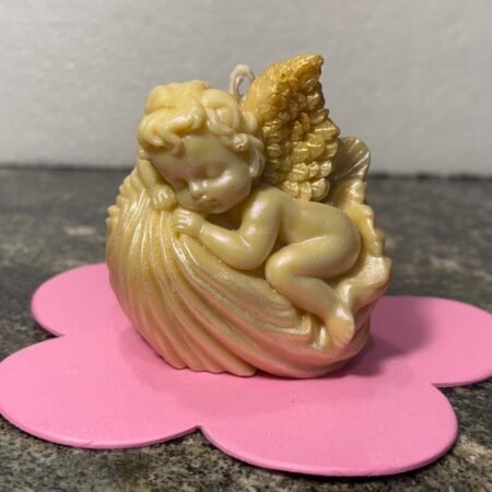 Baby Angel on the shell